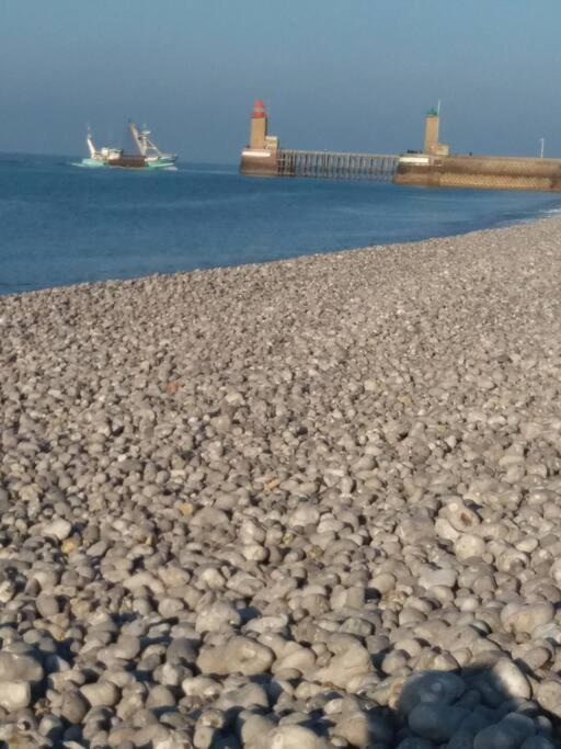 Le Chant Des Mouettes A 300 M De La Mer Et Du Port Fécamp Eksteriør bilde